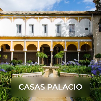 Casas Palacio